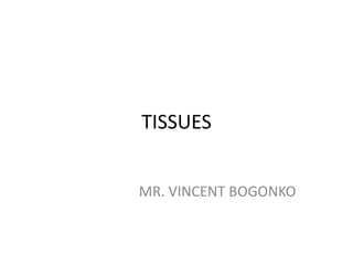 TISSUES
MR. VINCENT BOGONKO
 