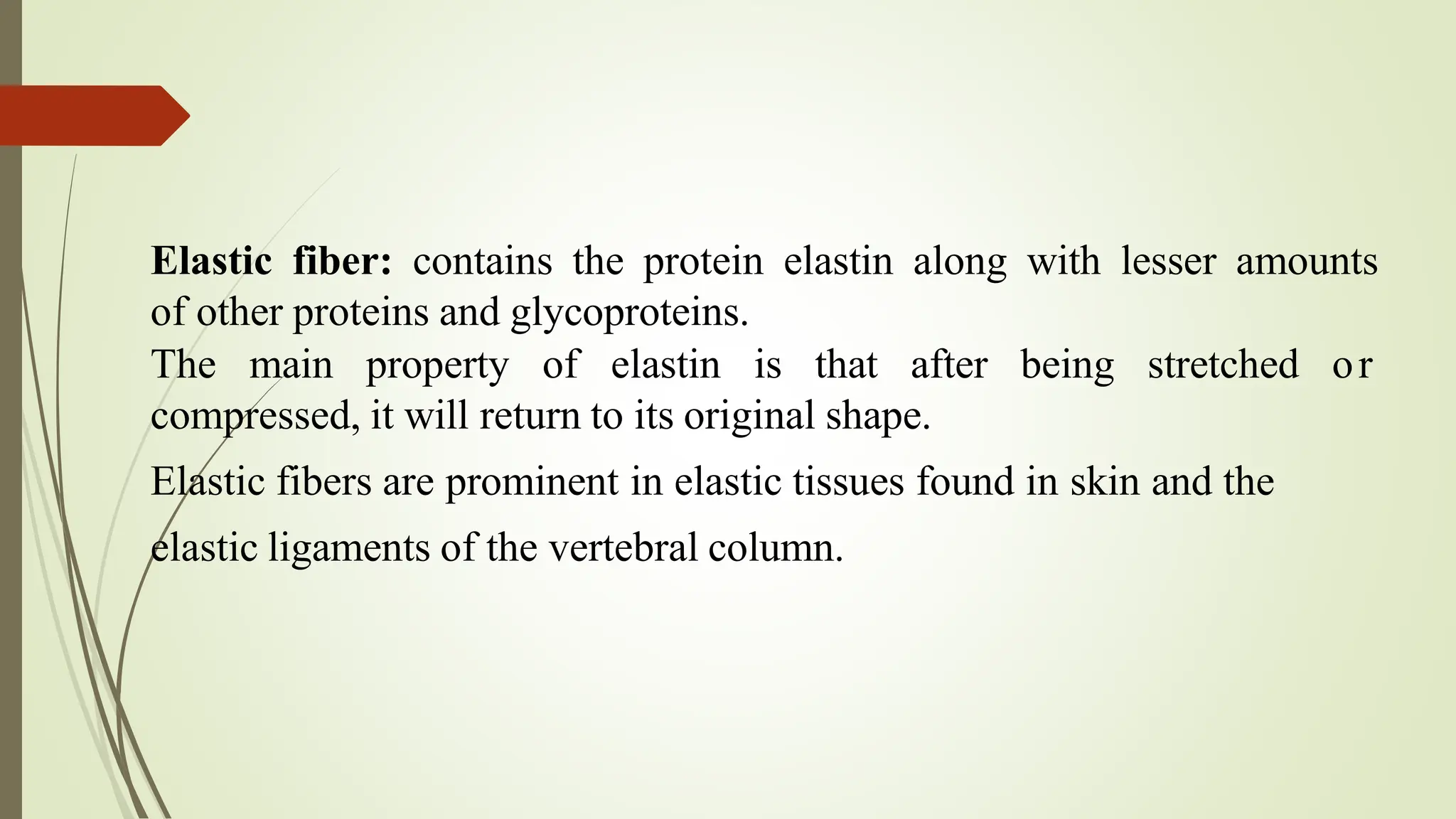 Here's a complete presentation on the topic of 