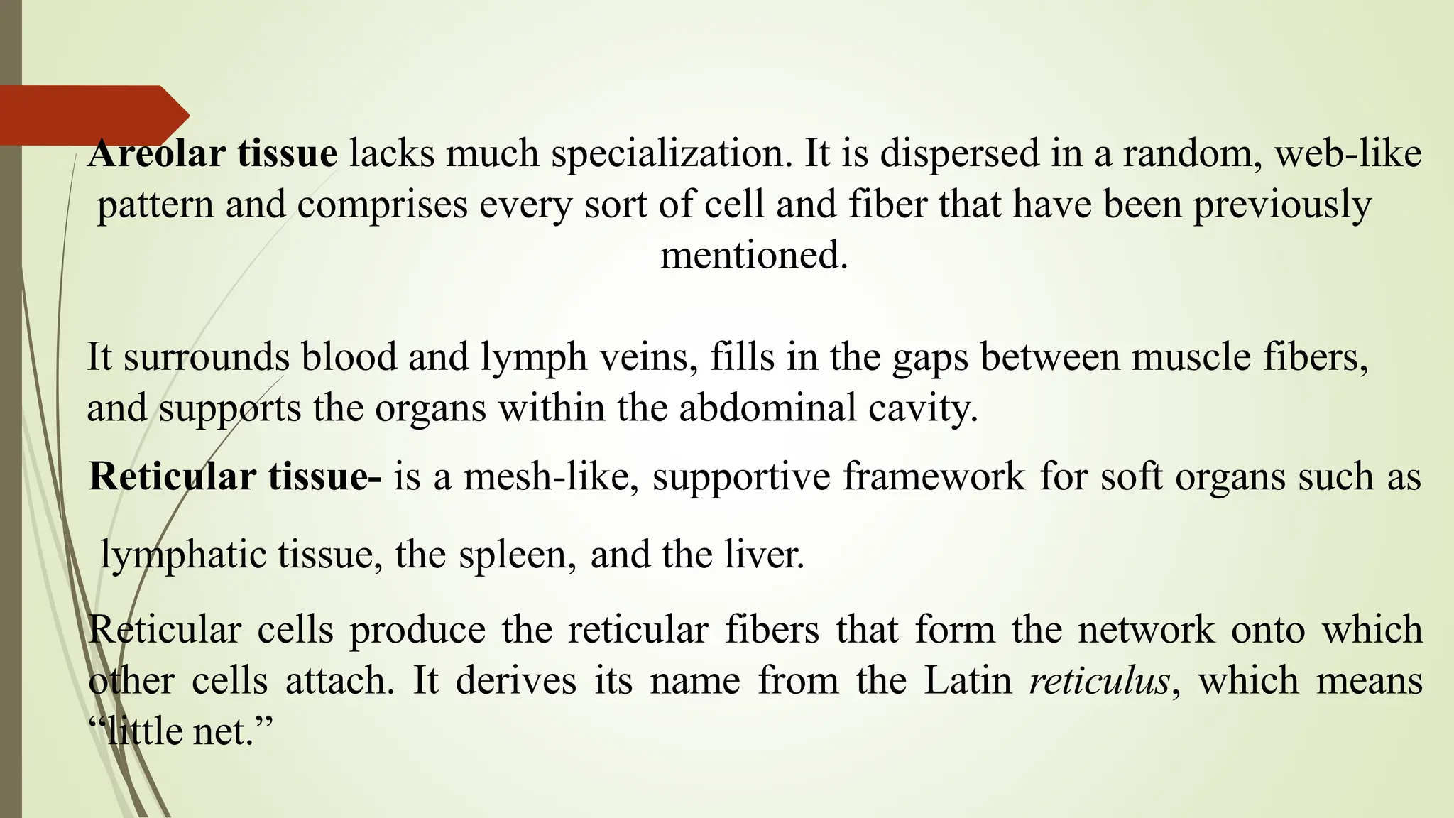 Here's a complete presentation on the topic of 