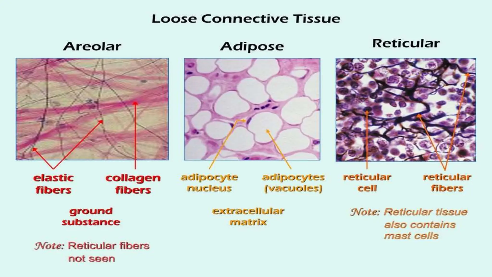Here's a complete presentation on the topic of 