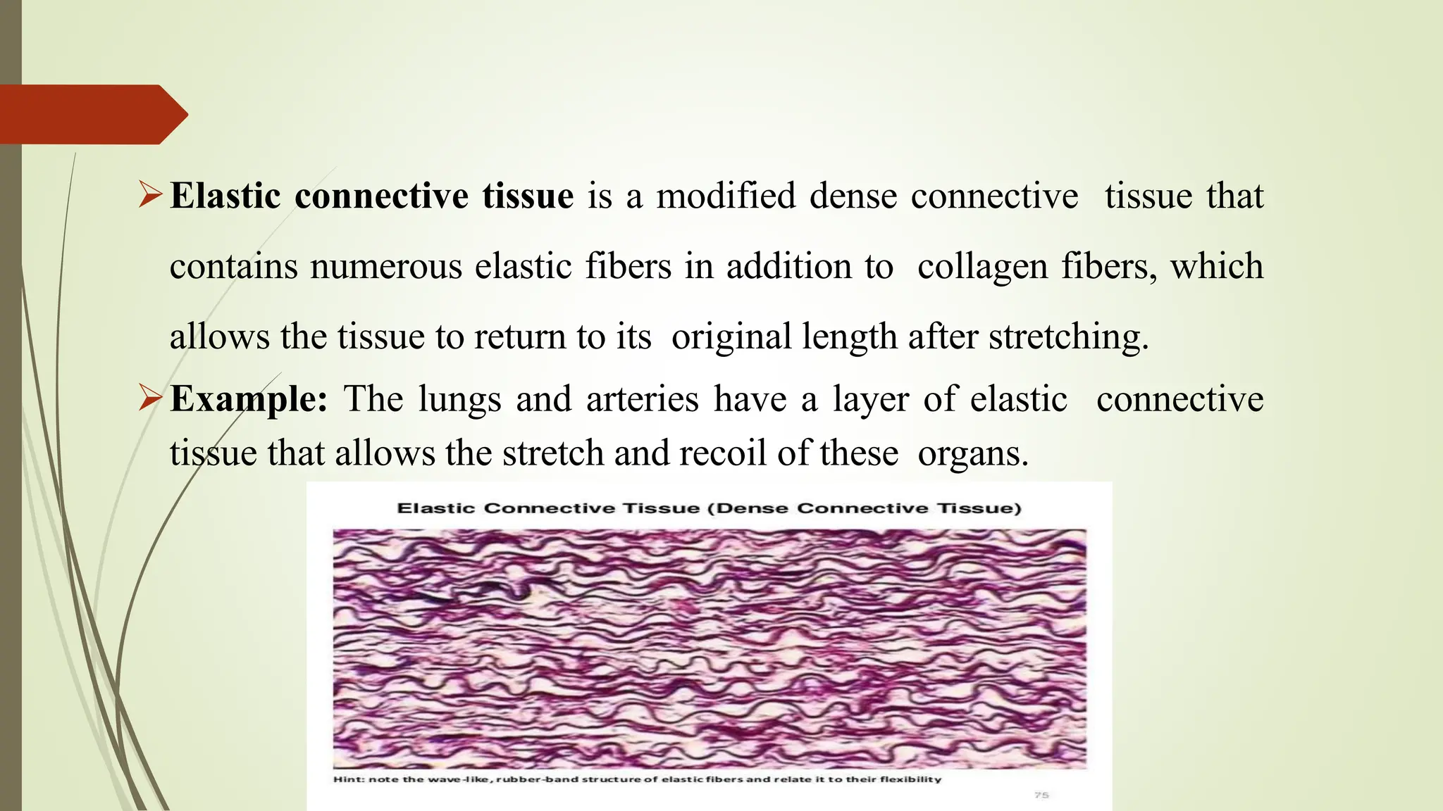 Here's a complete presentation on the topic of 