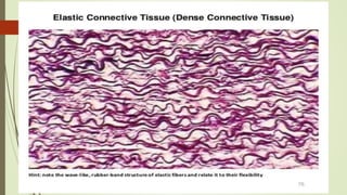 Here's a complete presentation on the topic of 