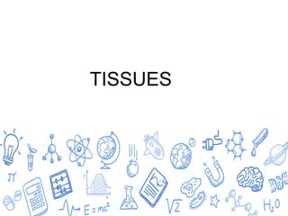 Cell tissue jdnrjirnrjrirnrnejennensnwnsnsnn.pptx
