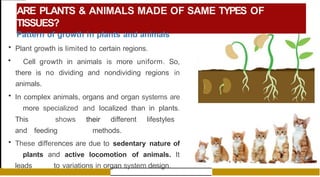 ARE PLANTS & ANIMALS MADE OF SAME TYPES OF
TISSUES?
Pattern of growth in plants and animals
• Plant growth is limited to certain regions.
• Cell growth in animals is more uniform. So,
there is no dividing and nondividing regions in
animals.
• In complex animals, organs and organ systems are
more specialized and localized than in plants.
This shows their different lifestyles
and feeding methods.
• These differences are due to sedentary nature of
plants and active locomotion of animals. It
leads to variations in organ system design.
 