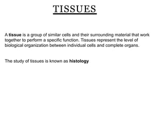 Tissues Human Anatomy and Physiology b pharm 1 | PPTX