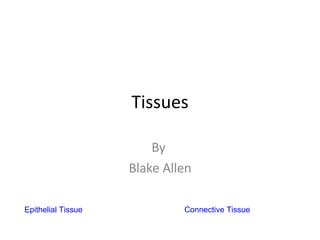 Tissues By  Blake Allen 	Epithelial Tissue Connective Tissue 