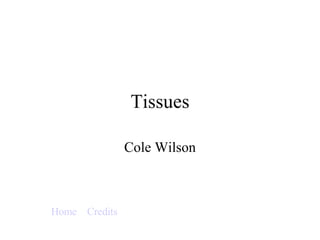 Tissues Cole Wilson Home   Credits 