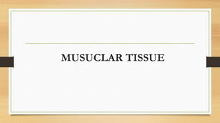 MUSUCLAR TISSUE
 