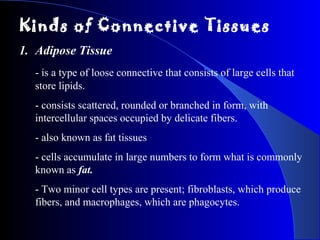 Kinds of Connective Tissues
1. Adipose Tissue
- is a type of loose connective that consists of large cells that
store lipids.
- consists scattered, rounded or branched in form, with
intercellular spaces occupied by delicate fibers.
- also known as fat tissues
- cells accumulate in large numbers to form what is commonly
known as fat.
- Two minor cell types are present; fibroblasts, which produce
fibers, and macrophages, which are phagocytes.
 