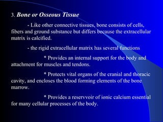 3. Bone or Osseous Tissue
- Like other connective tissues, bone consists of cells,
fibers and ground substance but differs because the extracellular
matrix is calcified.
- the rigid extracellular matrix has several functions
* Provides an internal support for the body and
attachment for muscles and tendons.
* Protects vital organs of the cranial and thoracic
cavity, and encloses the blood forming elements of the bone
marrow.
* Provides a reservvoir of ionic calcium essential
for many cellular processes of the body.
 