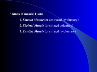 3 kinds of muscle Tissue
1. Smooth Muscle (or unstriated involuntary)
2. Skeletal Muscle (or striated voluntary)
3. Cardiac Muscle (or striated involuntary)
 