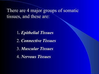 There are 4 major groups of somatic
tissues, and these are:
1. Epithelial Tissues
2. Connective Tissues
3. Muscular Tissues
4. Nervous Tissues
 