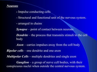 Neurons
- Impulse conducting cells
- Structural and functional unit of the nervous system.
- arranged in chains
Synapse – point of contact between neurons
Dendrite – the process that transmits stimuli to the cell
body
Axon – carries impulses away from the cell body
Bipolar cells – one dendrite and one axon
Multipolar Cells – multiple dendrites and single axon
Ganglion – a group of nerve cell bodies, with their
conspicuous nuclei when outside the central nervous system.
 