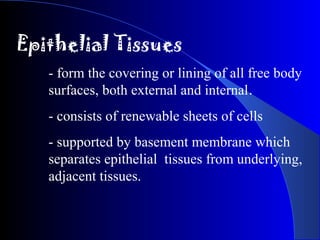 Epithelial Tissues
- form the covering or lining of all free body
surfaces, both external and internal.
- consists of renewable sheets of cells
- supported by basement membrane which
separates epithelial tissues from underlying,
adjacent tissues.
 