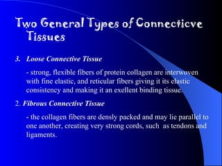 Two General Types of Connecticve Tissues Loose Connective Tissue - strong, flexible fibers of protein collagen are interwoven with fine elastic, and reticular fibers giving it its elastic consistency and making it an exellent binding tissue. 2.  Fibrous Connective Tissue   - the collagen fibers are densly packed and may lie parallel to one another, creating very strong cords, such  as tendons and ligaments. 