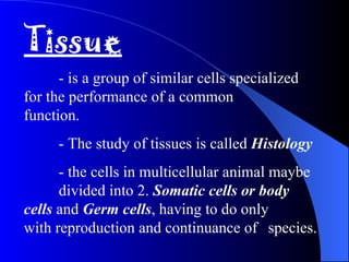 Tissue - is a group of similar cells specialized  for the performance of a common  function. - The study of tissues is called  Histology - the cells in multicellular animal maybe  divided into 2.  Somatic cells or body  cells  and  Germ cells , having to do only  with reproduction and continuance of  species. 