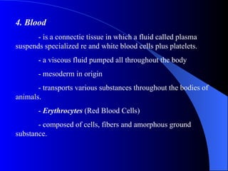 4. Blood - is a connectie tissue in which a fluid called plasma suspends specialized re and white blood cells plus platelets. - a viscous fluid pumped all throughout the body - mesoderm in origin - transports various substances throughout the bodies of animals. -  Erythrocytes  (Red Blood Cells) - composed of cells, fibers and amorphous ground substance. 