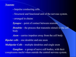 Neurons -  Impulse conducting cells - Structural and functional unit of the nervous system.  - arranged in chains Synapse  – point of contact between neurons Dendrite  – the process that transmits stimuli to the cell  body Axon  – carries impulses away from the cell body Bipolar cells  – one dendrite and one axon Multipolar Cells  – multiple dendrites and single axon Ganglion  – a group of nerve cell bodies, with their conspicuous nuclei when outside the central nervous system. 