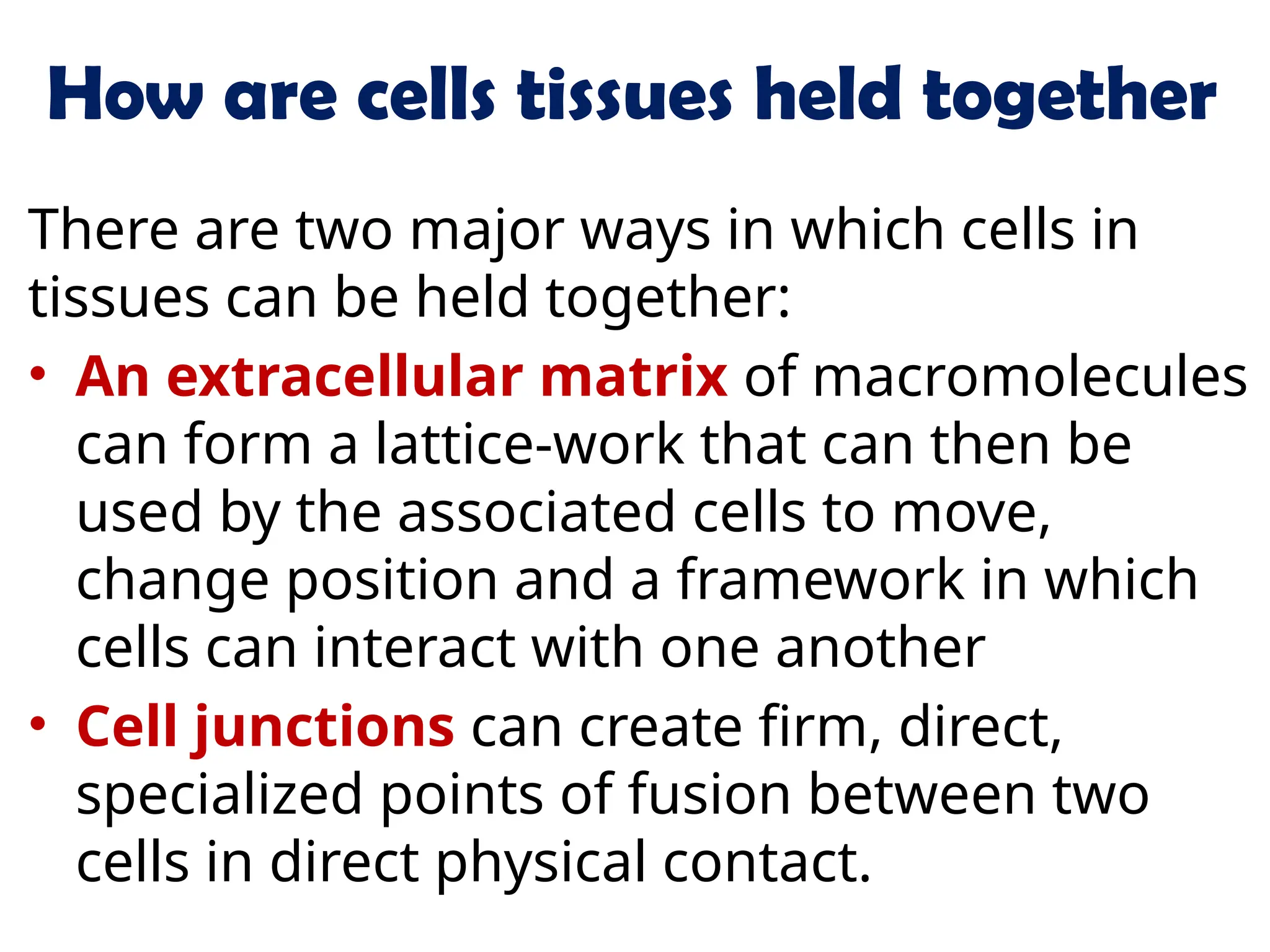 How are cells tissues held together
There are two major ways in which cells in
tissues can be held together:
• An extracellular matrix of macromolecules
can form a lattice-work that can then be
used by the associated cells to move,
change position and a framework in which
cells can interact with one another
• Cell junctions can create firm, direct,
specialized points of fusion between two
cells in direct physical contact.
 