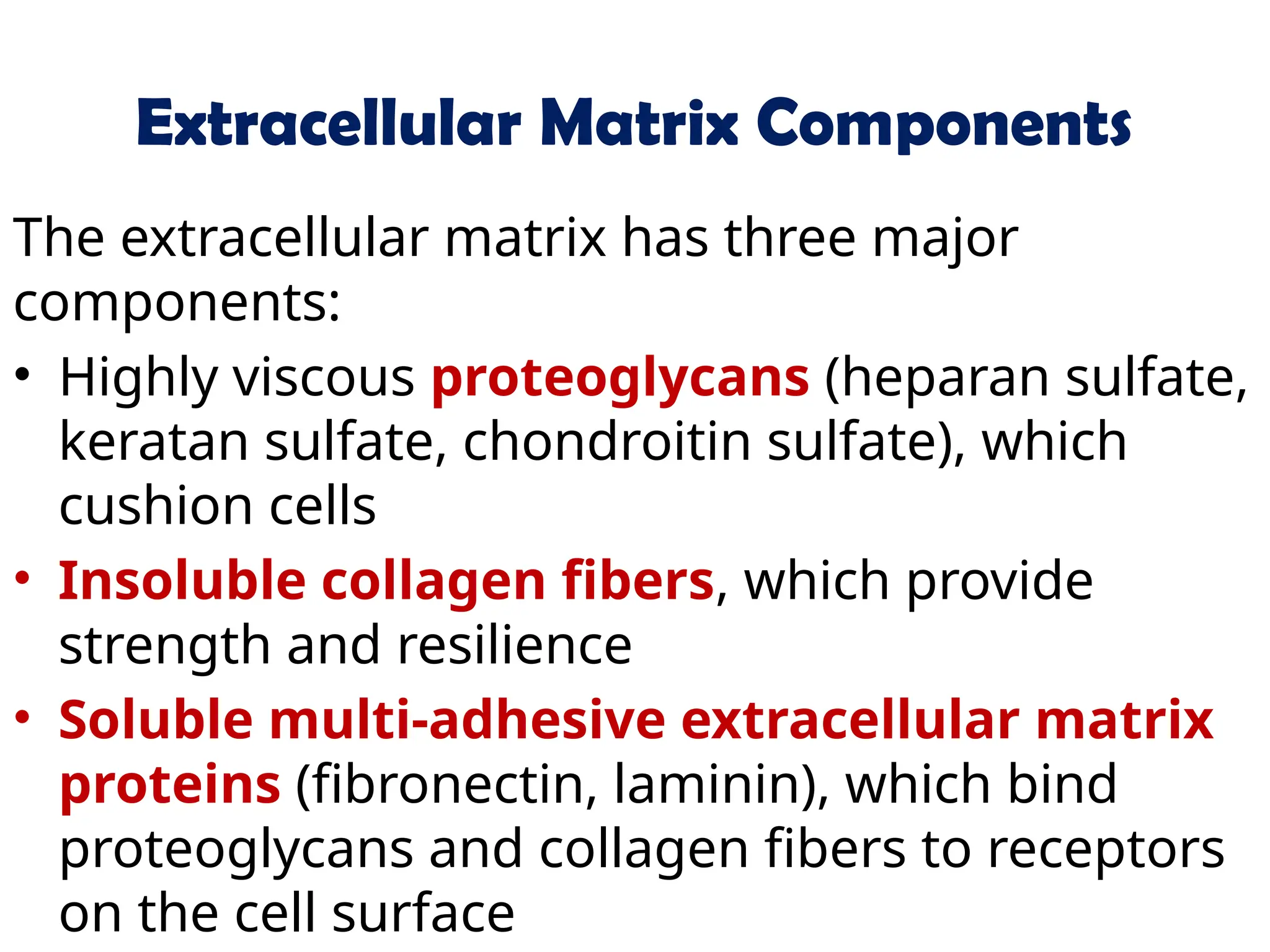 Extracellular Matrix Components
The extracellular matrix has three major
components:
• Highly viscous proteoglycans (heparan sulfate,
keratan sulfate, chondroitin sulfate), which
cushion cells
• Insoluble collagen fibers, which provide
strength and resilience
• Soluble multi-adhesive extracellular matrix
proteins (fibronectin, laminin), which bind
proteoglycans and collagen fibers to receptors
on the cell surface
 