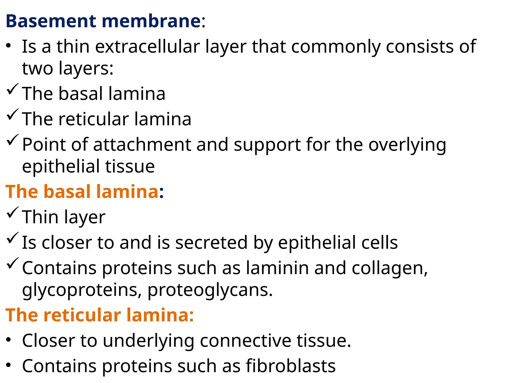 Basement membrane:
• Is a thin extracellular layer that commonly consists of
two layers:
The basal lamina
The reticular lamina
Point of attachment and support for the overlying
epithelial tissue
The basal lamina:
Thin layer
Is closer to and is secreted by epithelial cells
Contains proteins such as laminin and collagen,
glycoproteins, proteoglycans.
The reticular lamina:
• Closer to underlying connective tissue.
• Contains proteins such as fibroblasts
 