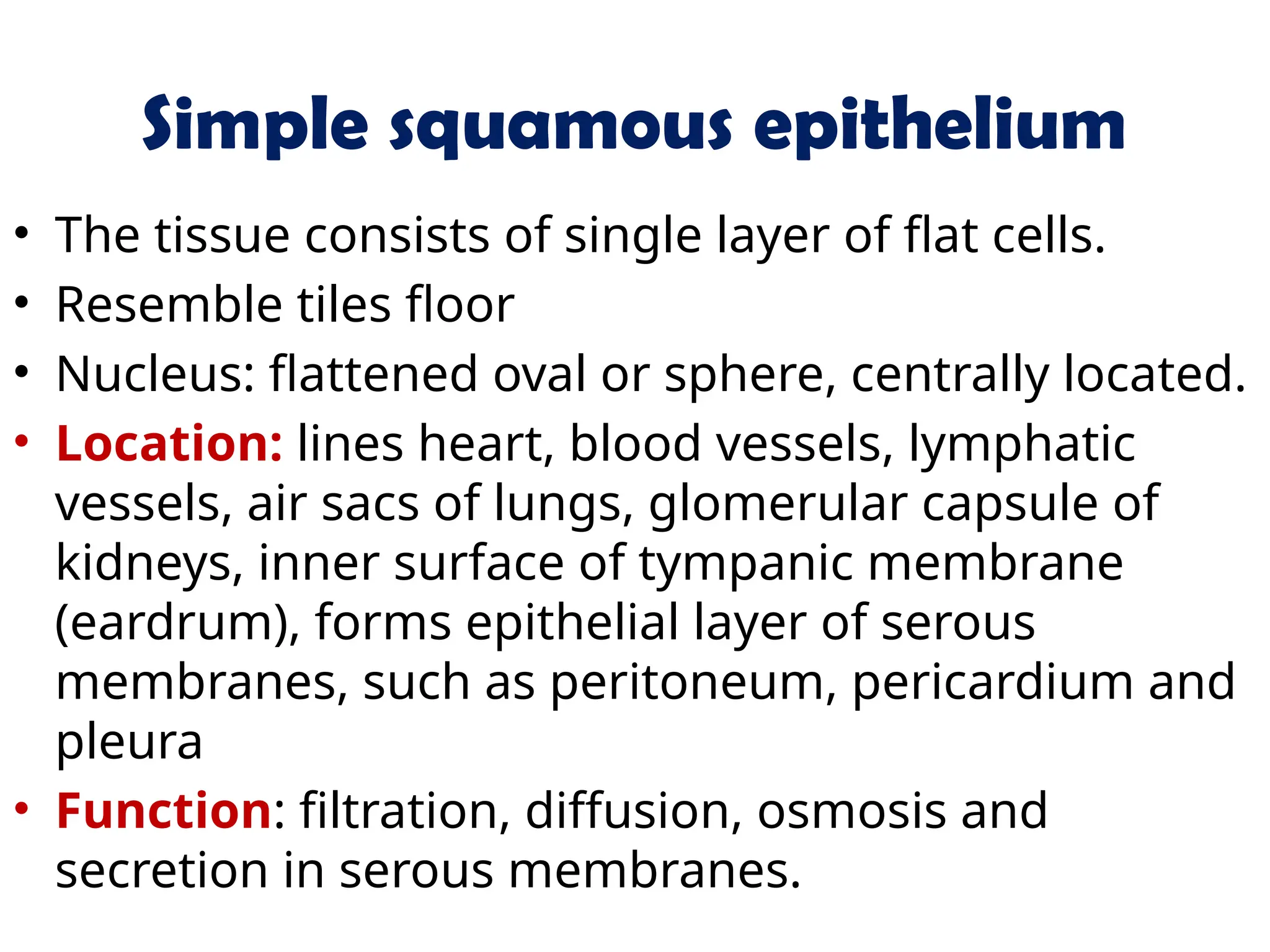 Simple squamous epithelium
• The tissue consists of single layer of flat cells.
• Resemble tiles floor
• Nucleus: flattened oval or sphere, centrally located.
• Location: lines heart, blood vessels, lymphatic
vessels, air sacs of lungs, glomerular capsule of
kidneys, inner surface of tympanic membrane
(eardrum), forms epithelial layer of serous
membranes, such as peritoneum, pericardium and
pleura
• Function: filtration, diffusion, osmosis and
secretion in serous membranes.
 