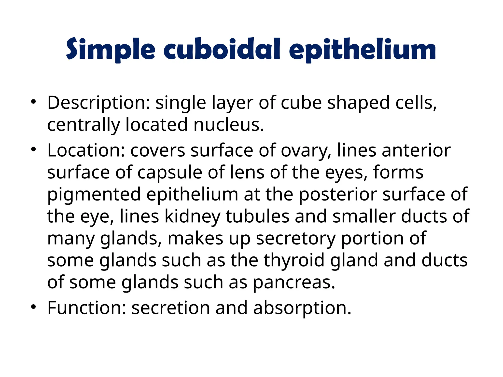 Simple cuboidal epithelium
• Description: single layer of cube shaped cells,
centrally located nucleus.
• Location: covers surface of ovary, lines anterior
surface of capsule of lens of the eyes, forms
pigmented epithelium at the posterior surface of
the eye, lines kidney tubules and smaller ducts of
many glands, makes up secretory portion of
some glands such as the thyroid gland and ducts
of some glands such as pancreas.
• Function: secretion and absorption.
 