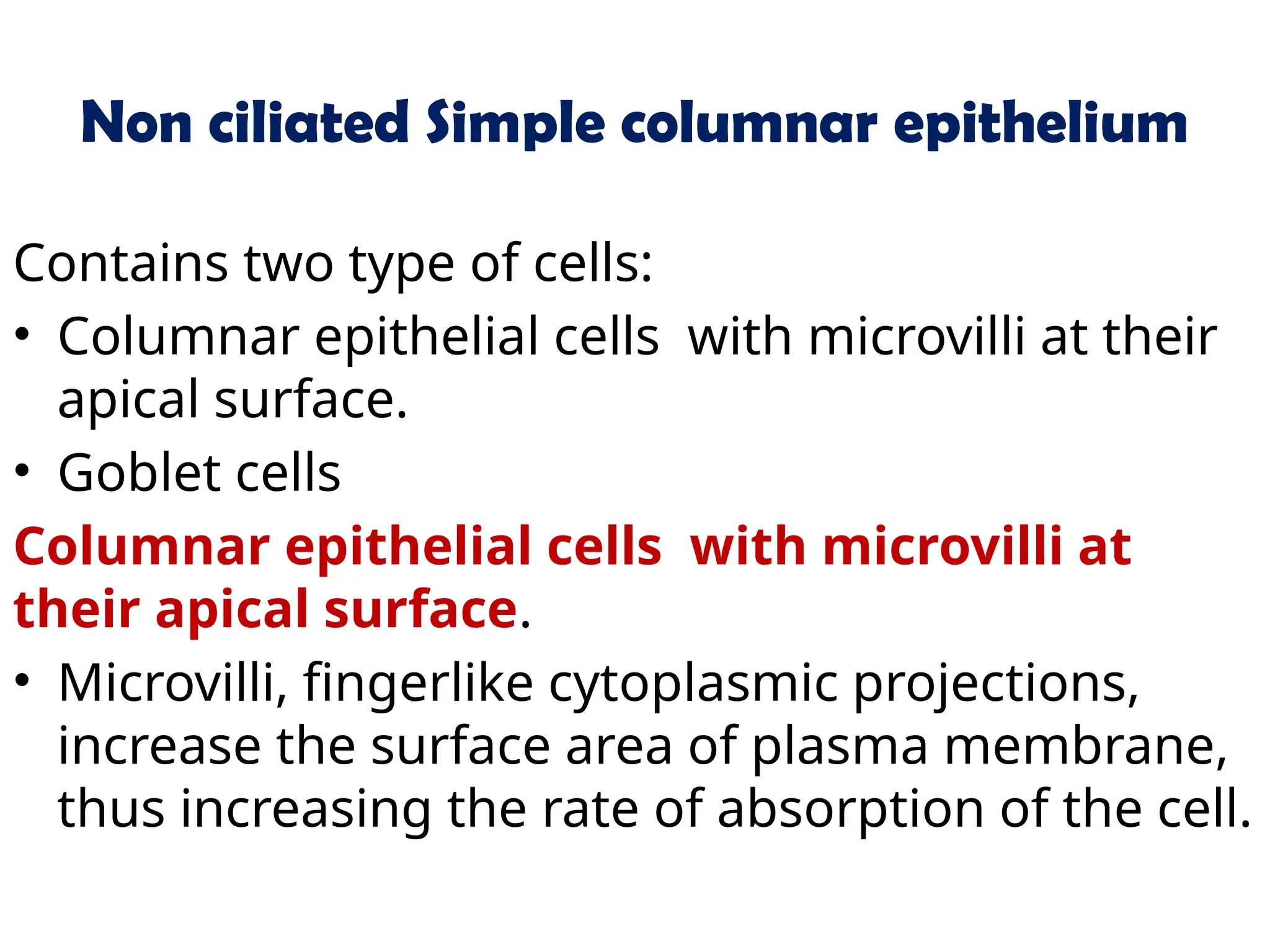 Non ciliated Simple columnar epithelium
Contains two type of cells:
• Columnar epithelial cells with microvilli at their
apical surface.
• Goblet cells
Columnar epithelial cells with microvilli at
their apical surface.
• Microvilli, fingerlike cytoplasmic projections,
increase the surface area of plasma membrane,
thus increasing the rate of absorption of the cell.
 