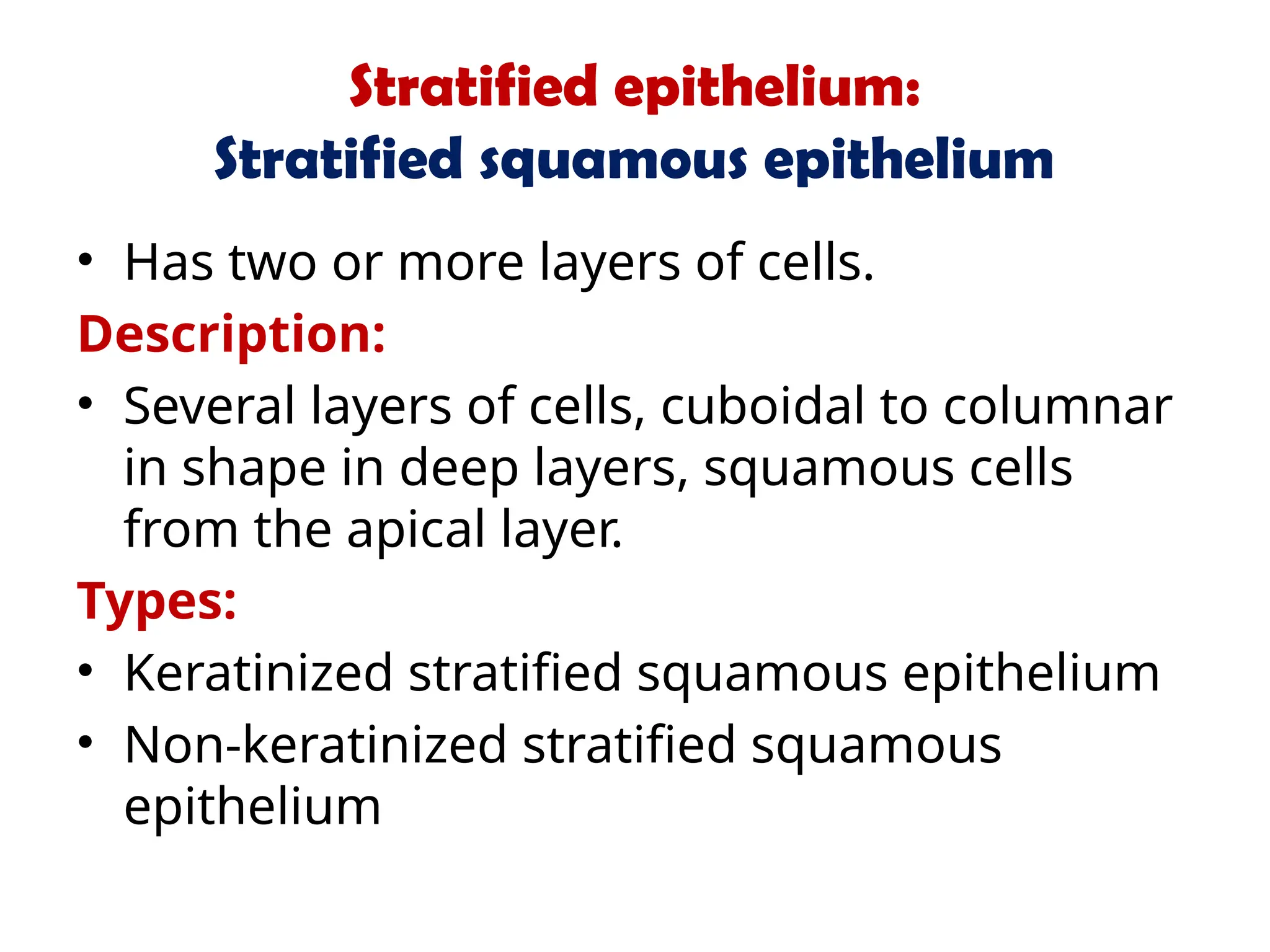 Stratified epithelium:
Stratified squamous epithelium
• Has two or more layers of cells.
Description:
• Several layers of cells, cuboidal to columnar
in shape in deep layers, squamous cells
from the apical layer.
Types:
• Keratinized stratified squamous epithelium
• Non-keratinized stratified squamous
epithelium
 