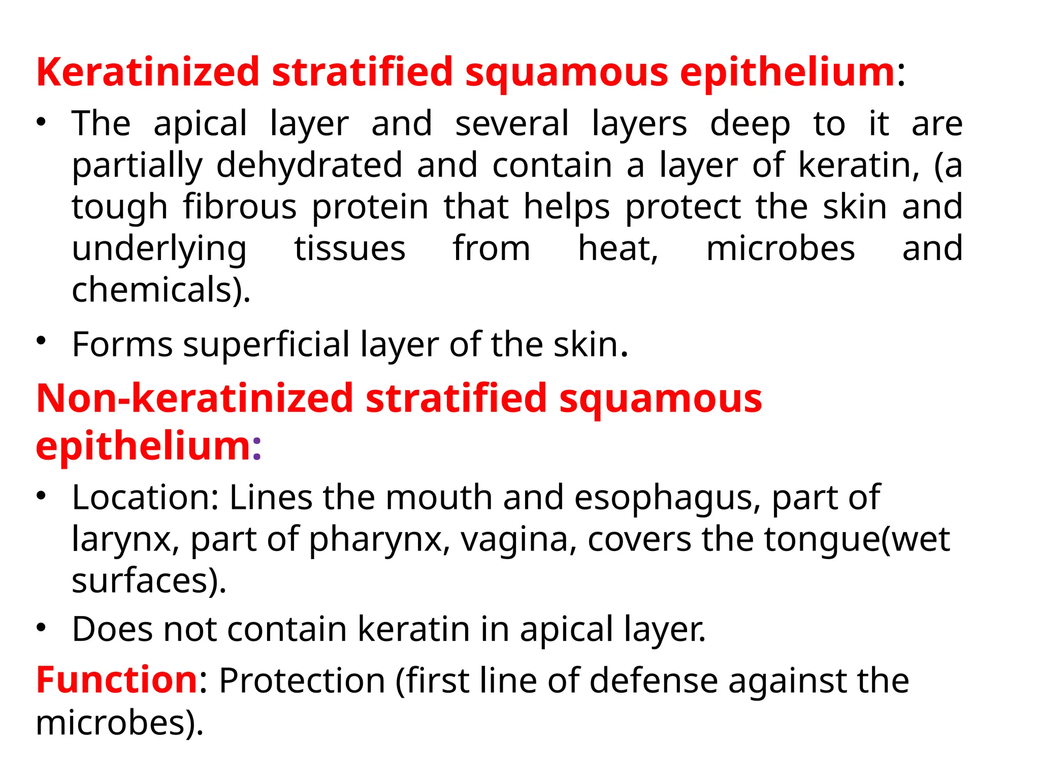 Keratinized stratified squamous epithelium:
• The apical layer and several layers deep to it are
partially dehydrated and contain a layer of keratin, (a
tough fibrous protein that helps protect the skin and
underlying tissues from heat, microbes and
chemicals).
• Forms superficial layer of the skin.
Non-keratinized stratified squamous
epithelium:
• Location: Lines the mouth and esophagus, part of
larynx, part of pharynx, vagina, covers the tongue(wet
surfaces).
• Does not contain keratin in apical layer.
Function: Protection (first line of defense against the
microbes).
 