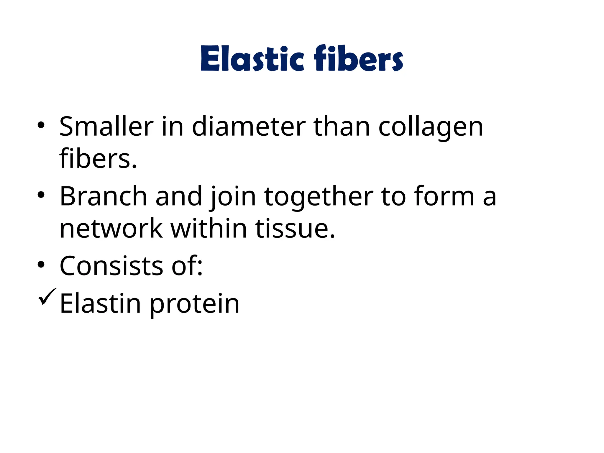 Elastic fibers
• Smaller in diameter than collagen
fibers.
• Branch and join together to form a
network within tissue.
• Consists of:
Elastin protein
 