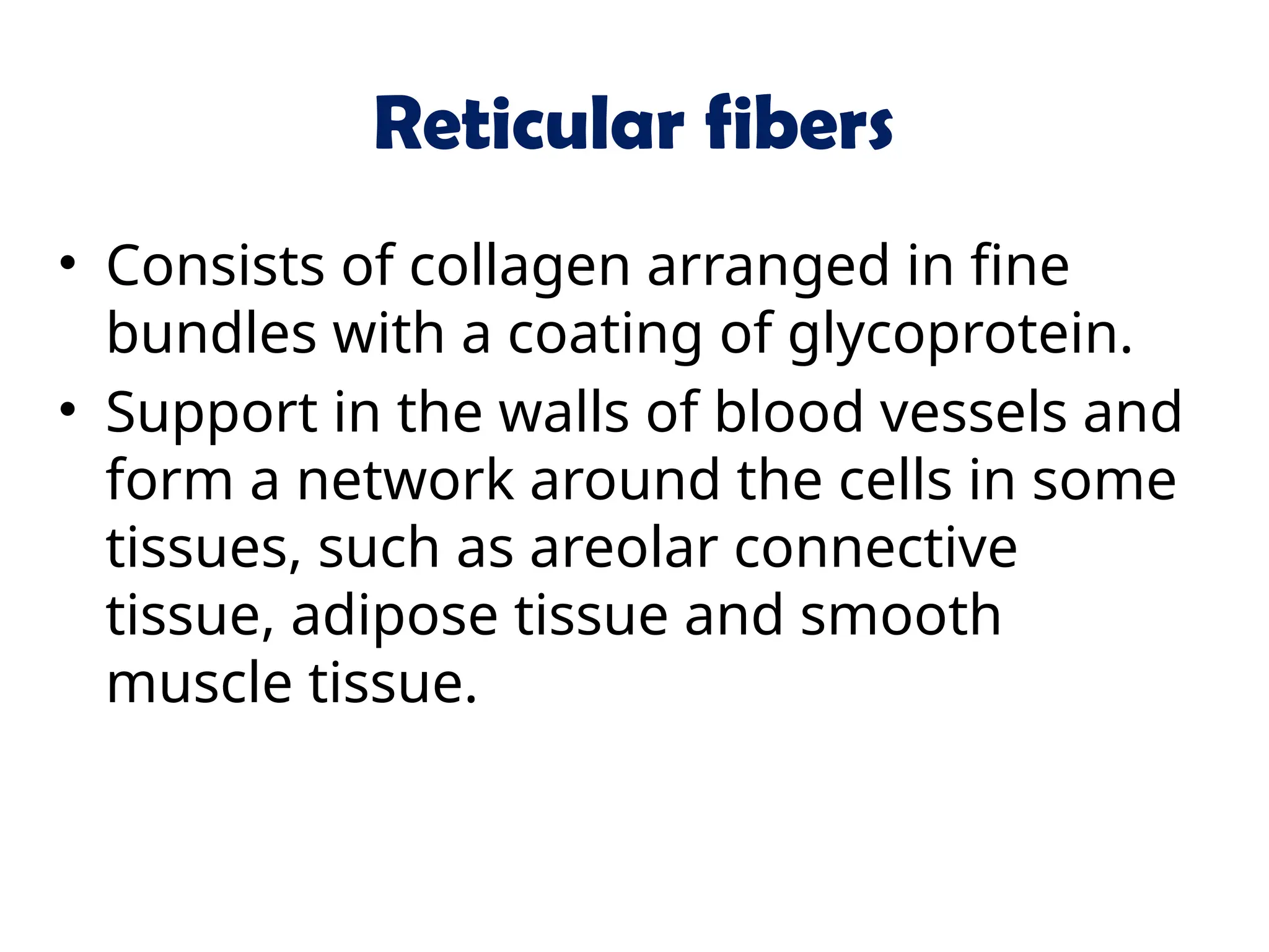 Reticular fibers
• Consists of collagen arranged in fine
bundles with a coating of glycoprotein.
• Support in the walls of blood vessels and
form a network around the cells in some
tissues, such as areolar connective
tissue, adipose tissue and smooth
muscle tissue.
 
