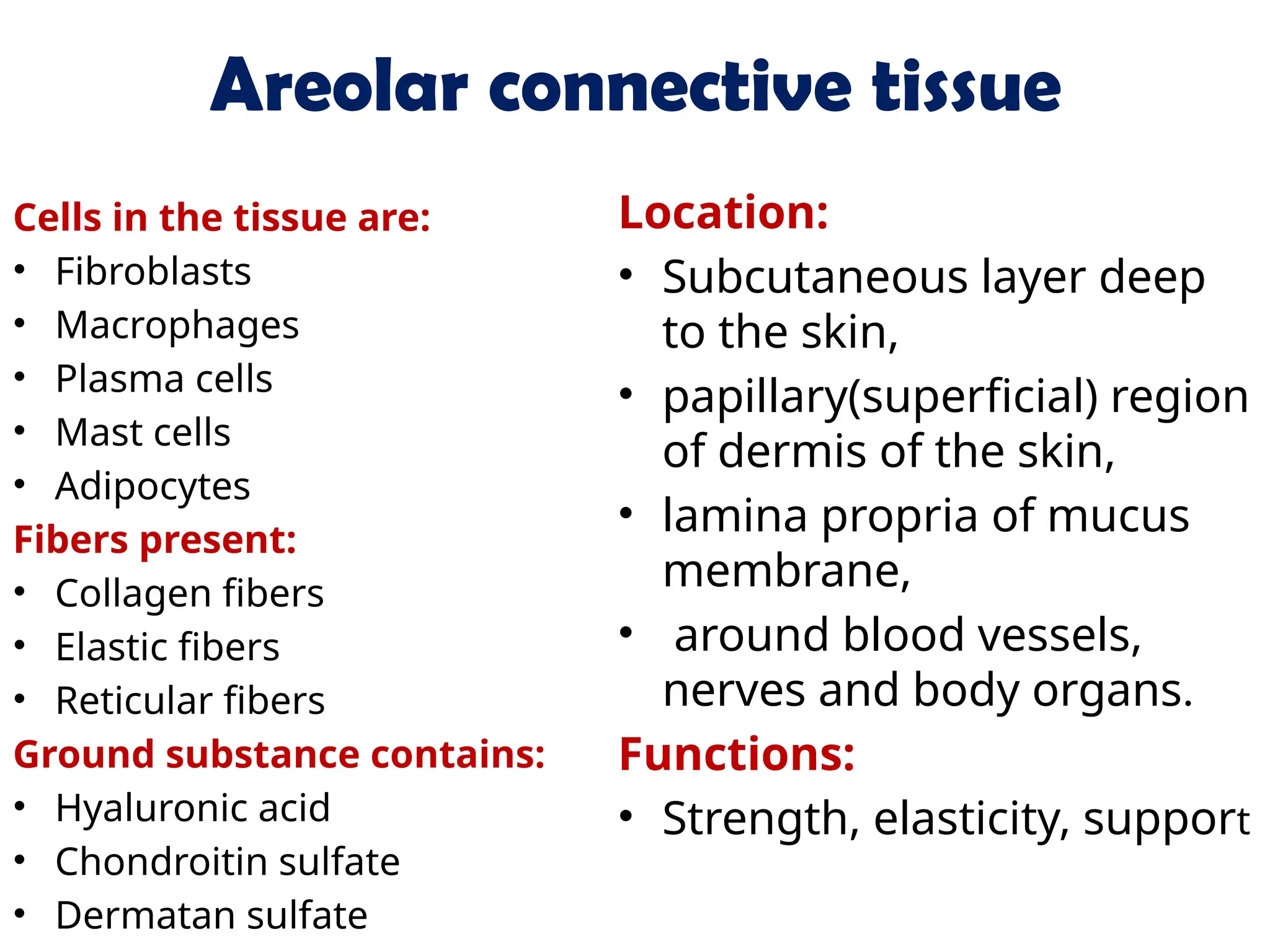 Areolar connective tissue
Cells in the tissue are:
• Fibroblasts
• Macrophages
• Plasma cells
• Mast cells
• Adipocytes
Fibers present:
• Collagen fibers
• Elastic fibers
• Reticular fibers
Ground substance contains:
• Hyaluronic acid
• Chondroitin sulfate
• Dermatan sulfate
Location:
• Subcutaneous layer deep
to the skin,
• papillary(superficial) region
of dermis of the skin,
• lamina propria of mucus
membrane,
• around blood vessels,
nerves and body organs.
Functions:
• Strength, elasticity, support
 