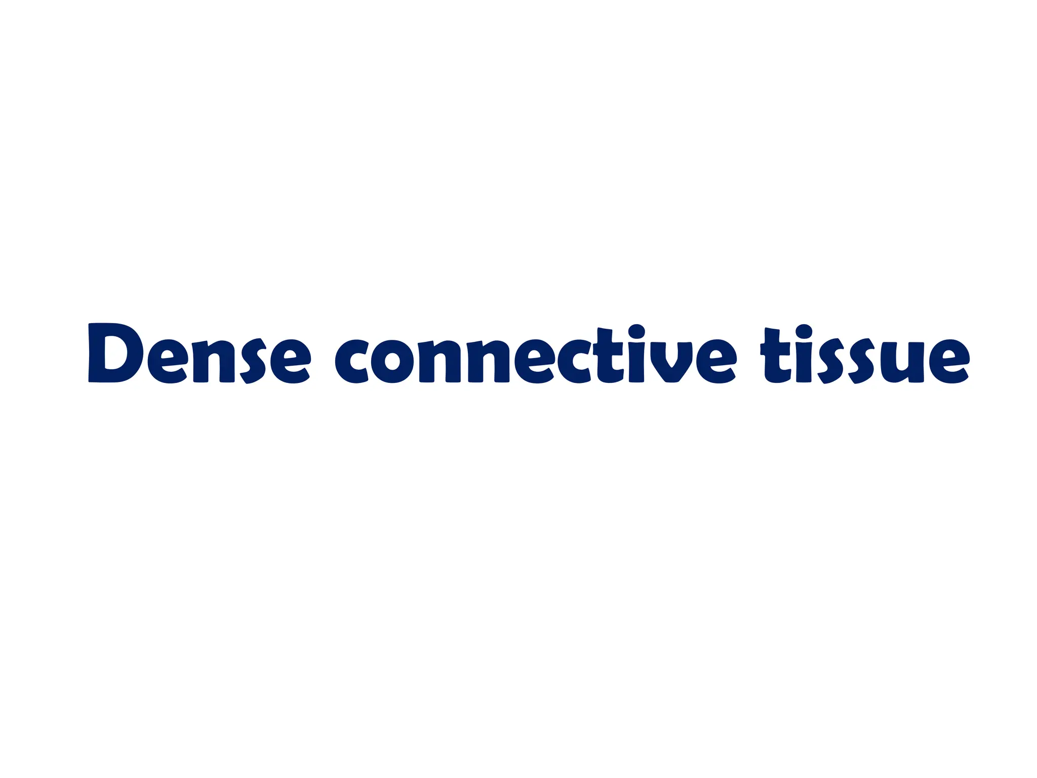 Dense connective tissue
 