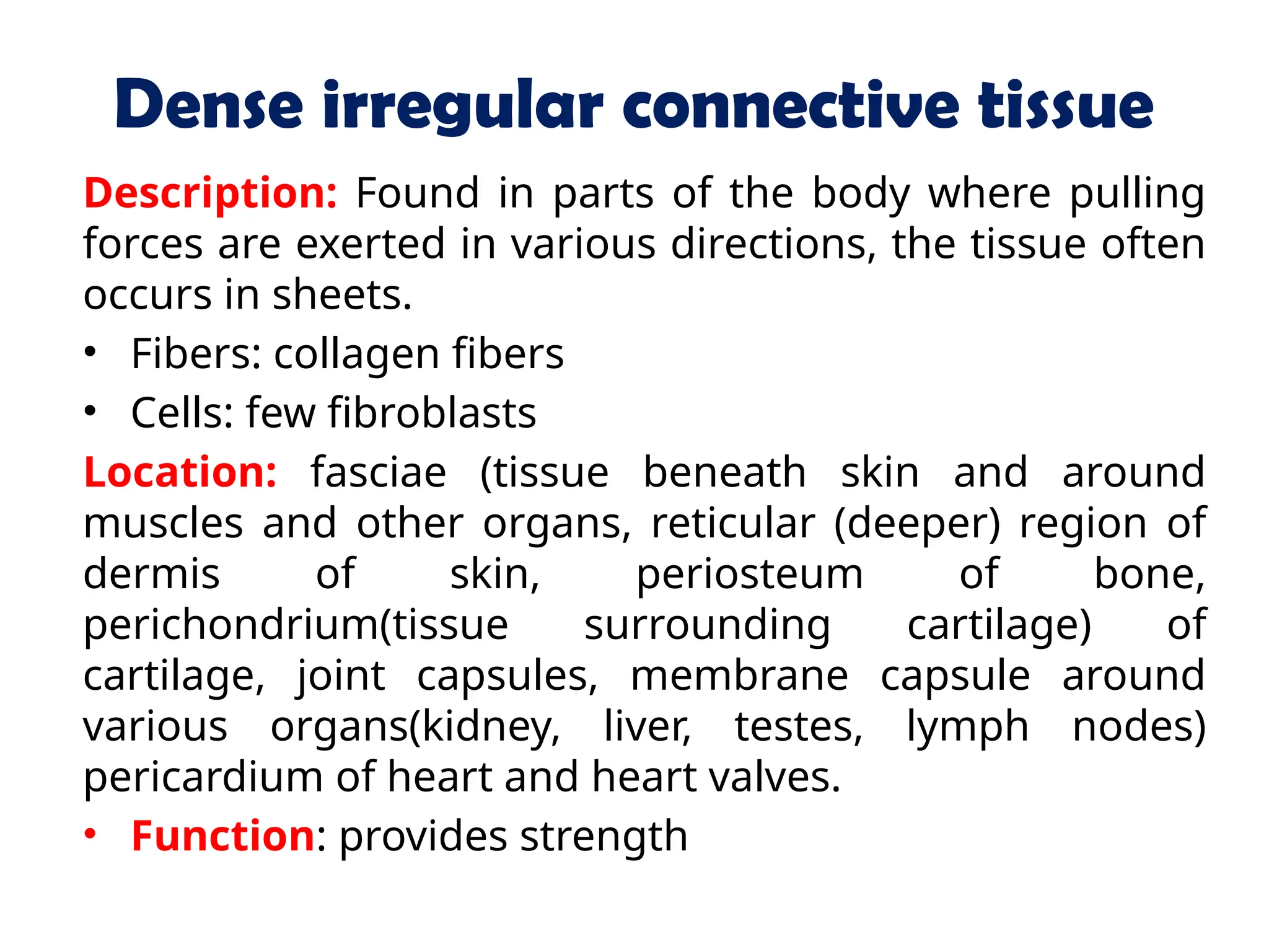 Dense irregular connective tissue
Description: Found in parts of the body where pulling
forces are exerted in various directions, the tissue often
occurs in sheets.
• Fibers: collagen fibers
• Cells: few fibroblasts
Location: fasciae (tissue beneath skin and around
muscles and other organs, reticular (deeper) region of
dermis of skin, periosteum of bone,
perichondrium(tissue surrounding cartilage) of
cartilage, joint capsules, membrane capsule around
various organs(kidney, liver, testes, lymph nodes)
pericardium of heart and heart valves.
• Function: provides strength
 