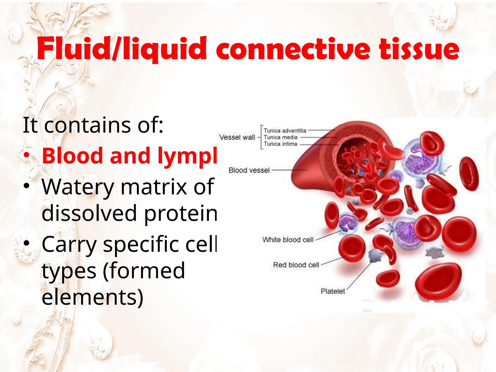 Fluid/liquid connective tissue
It contains of:
• Blood and lymph
• Watery matrix of
dissolved proteins
• Carry specific cell
types (formed
elements)
 
