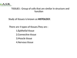 TISSUES - Epithelial tissue | PPTX