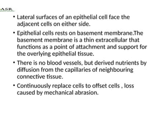 TISSUES - Epithelial tissue | PPTX