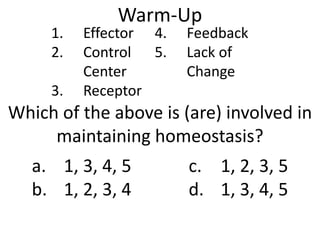 Warm-Up
Which of the above is (are) involved in
maintaining homeostasis?
1. Effector
2. Control
Center
3. Receptor
4. Feedback
5. Lack of
Change
a. 1, 3, 4, 5
b. 1, 2, 3, 4
c. 1, 2, 3, 5
d. 1, 3, 4, 5
 