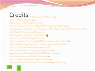 Credits http://www.germes-online.com/direct/dbimage/50165020/Facial_Tissue_Box.jpg http://www.buildsize.com/images/bicep.jpg http://cytochemistry.net/Cell-biology/Medical/25092.JPG http://micro.magnet.fsu.edu/primer/anatomy/brightfieldgallery/images/pseudostratifiedcilialarge.jpg http://images.google.com/imgres?imgurl=http://biology.clc.uc.edu/fankhauser/Labs/Anatomy_%26_Physiology/A%26P201/Epithelium/esophagus_400x_PA041991.JPG&imgrefurl=http://biology.clc.uc.edu/ http://biology.ucf.edu/~logiudice/zoo3713/Files/image015.gif http://images.google.com/imgres?imgurl=http://biodidac.bio . http://www.mhhe.com/biosci/ap/histology_mh/smmusc.jpg http://micro.magnet.fsu.edu/primer/anatomy/brightfieldgallery/images/mammalcardiacmusclesmall.jpg http://images.google.com/imgres?imgurl=http://www.pathguy.com/histo/052.jpg&imgrefurl=http:// http://www.udel.edu/biology/Wags/histopage/colorpage/cct/cctrct.GIF http://www.cytochemistry.net/microanatomy/connective_tissue/00004525.jpg http://washington.uwc.edu/about/faculty/schaefer_w/TISSUES/hyaline_cartilage1.jpg http://virtual.yosemite.cc.ca.us/randerson/Lynn's%20Bioslides/119.jpg http://www.nlm.nih.gov/medlineplus/ency/images/ency/fullsize/1679.jpg http://content.answers.com/main/content/wp/en-commons/thumb/3/34/350px-Blood_smear.jpg 