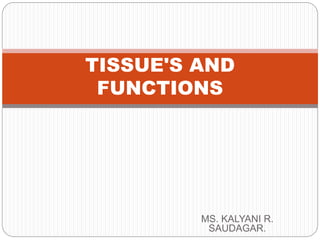 MS. KALYANI R.
SAUDAGAR.
TISSUE'S AND
FUNCTIONS
 