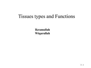 5 - 1
Tissues types and Functions
Ikramullah
Wiqarullah
 