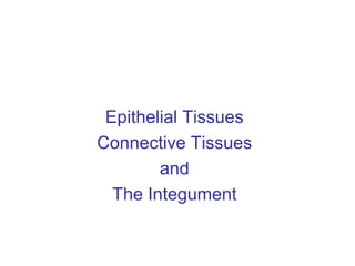 Epithelial Tissues
Connective Tissues
and
The Integument
 
