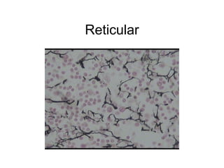 Tissues and integumentary ac | PPT