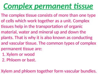 Complex permanent tissue
The complex tissue consists of more than one type
of cells which work together as a unit. Complex
tissues help in the transportation of organic
material, water and mineral up and down the
plants. That is why it is also known as conducting
and vascular tissue. The common types of complex
permanent tissue are:
1. Xylem or wood
2. Phloem or bast.
Xylem and phloem together form vascular bundles.
 