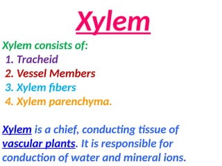 Xylem
Xylem consists of:
1. Tracheid
2. Vessel Members
3. Xylem fibers
4. Xylem parenchyma.
Xylem is a chief, conducting tissue of
vascular plants. It is responsible for
conduction of water and mineral ions.
 