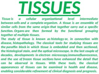 TISSUES
Tissue is a cellular organizational level intermediate
between cells and a complete organism. A tissue is an ensemble of
similar cells from the same origin that together carry out a specific
function. Organs are then formed by the functional grouping
together of multiple tissues.
The study of tissue is known as histology or, in connection with
disease, histopathology. The classical tools for studying tissues are
the paraffin block in which tissue is embedded and then sectioned,
the histological stain, and the optical microscope. In the last couple of
decades, developments in electron microscopy,immunofluorescence,
and the use of frozen tissue sections have enhanced the detail that
can be observed in tissues. With these tools, the classical
appearances of tissues can be examined in health and disease,
enabling considerable refinement of clinical diagnosis and prognosis.
 