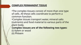 COMPLEX PERMANENT TISSUE
•The complex tissues consist of more than one type
of cells. All these cells coordinate to perform a
common function.
•Complex tissues transport water, mineral salts
(nutrients) and food material to various parts of the
plant body.
Complex tissues are of the following two types:
(i) Xylem or wood
(ii) Phloem
 