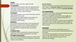 Do You Know?
•Xylem and phloem are both conducting tissues and
also known as vascular tissues (conducting tissue),
together both of them constitute vascular bundles.
PIT FORMATIONS
•No lignin is laid down where plasmodesmata were
present in the original cell walls.
•These non-lignified areas are known as pits and
they allow water to pass sideways between one
xylem vessel and the next.
•As vessels and tracheids of xylem have the lignified
cell walls, so this simply means that these cells are
hollow and there are no cell contents to restrict the
flow of water.
HADROME
•Tracheids & vessels are collectively known as
hadrome and it acts as main conducting elements in
the xylem.
•The annual rings present in the trunk of a tree are
xylem rings. By counting the number of annual
rings we can determine the age of a tree
(Dendrochronology).
XYLEM
Xylem is made up of four types of cells:
(a) Tracheids
•Tracheid are elongated cells with tapering ends.
•They also conduct water. Since tracheid do not
have open ends like the vessels, so the water has
to pass from cell to cell via the pits.
(b) Vessels
•Very long tube-like structures formed by a row of
cells placed end to end.
•The transverse walls between the vessels are
completely dissolved to form continuous
channels or water-pipes.
Functions
(i) Tracheid and vessels help in the long-distance
conduction of water and minerals upward from
the root system to various parts of the plant.
(ii) Tracheid and vessels provide mechanical
support.
(c) Xylem Fibre
•These are dead and lignified sclerenchymatous
cells which are mainly supportive in function.
(d) Xylem Parenchyma
•It is formed of living parenchymatous cells which
help in the storage of food and lateral conduction
of water and minerals.
 