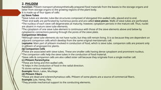 2. PHLOEM
Function: Phloem transport photosynthetically prepared food materials from the leaves to the storage organs and
latter from storage organs to the growing regions of the plant body.
It is made up of four types of cells:
(a) Sieve Tubes
•Sieve tubes are slender, tube-like structures composed of elongated thin-walled cells, placed end to end.
•Their end walls are perforated by numerous pores and are called sieve plates. Walls of sieve tubes are perforated.
•The nucleus of each sieve cell degenerates at maturity, however, cytoplasm persists in the mature cell. Thus, nuclei
are absent in mature sieve tube elements.
•The cytoplasm of one sieve tube element is continuous with those of the sieve elements above and below by
cytoplasmic connections passing through the pores of the sieve plate.
Competition Window:
•Although sieve tube elements do not have nuclei, but they still remain living. It is so because they are dependent on
adjacent companion cells which develop from the same original meristematic cell.
Leptome: Main part of phloem involved in conduction of food, which is sieve tube. companion cells are present only
in phloem of angiospermic plants.
(b) Companion Cells
•These are associated with sieve tubes. These are smaller cells having dense cytoplasm and prominent nucleus.
•The companion cells help the sieve tubes in the conduction of food material.
•Sieve cells & companion cells are also called sister cell because they originate from a single mother cell.
(c) Phloem Parenchyma
•These are living and thin-walled cells.
•It helps in the conduction of food in the radial direction.
•It stores various materials.
Example: Resin, Latex, Mucilage.
(d) Phloem Fibers
•These are dead and sclerenchymatous cells. Phloem of some plants are a source of commercial fibers.
Example: Jute, Hemp, Flex.
•They provide mechanical support to the conducting elements.
 